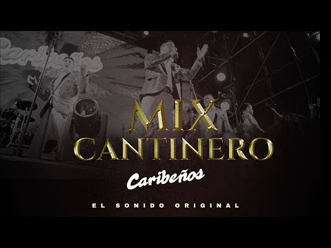 Mix Cantinero - Homenaje a la Virgencita de Guadalupe 2024