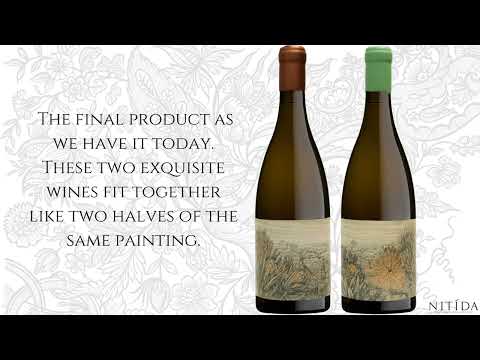 Nitida Coronata Integration & Golden Orb