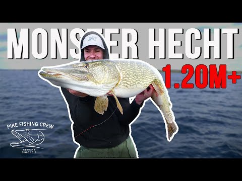So fangt ihr euren Meterhecht! Angeln auf kapitale Hechte |PIKE FISHING CREW|
