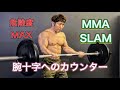 腕十字への華麗(危険)なるカウンター技[MMA SLAM]