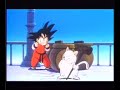 Cat God