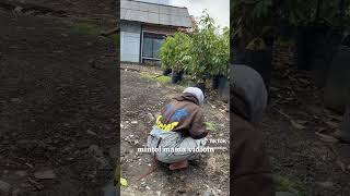 Download lagu wah wanita ber hijab mabok perjalanan hinggah muntah di depan kamera mp3