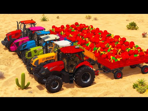 JOHN DEERE vs CLAAS vs CASE vs RIGITRAC TRACTORS BATTLE WITH CHERRY - FS25 🍒🚜