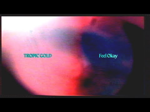 Tropic Gold - Feel Okay (Official Lyric Video)