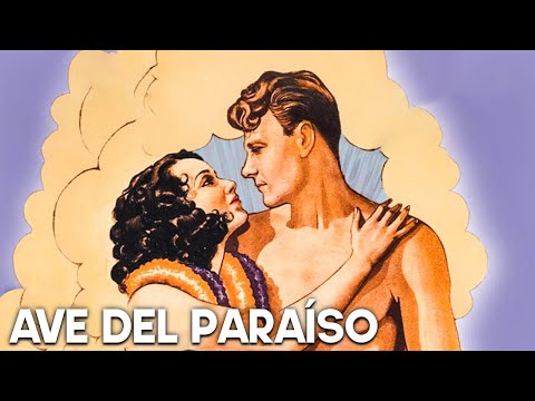 Ave del paraíso | Dolores del Rio | Película romántica | Español | Cine clásico |