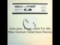 Asle pres. Frost - Wait For Me (Max Graham ...