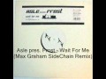 Asle pres. Frost - Wait For Me (Max Graham ...