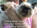 Дорога добра.wmv поет детский хор "Великан" песня кошка. 