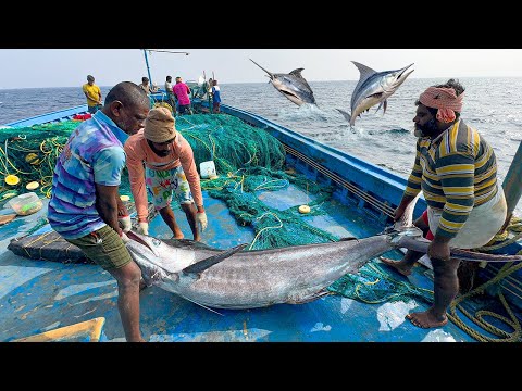 Great🤩 The Tenth Day We Stayed In The Deep Sea And Caught A Lot Of Big Fishes | Day-10 | S06-EP10