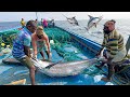 Great The Tenth Day We Stayed In The Deep Sea And Caught A Lot Of Big Fishes Day 10 S06 EP10