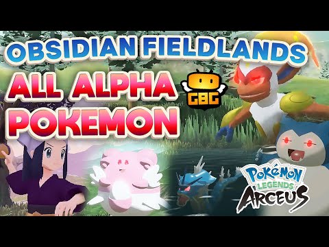 Pokemon Legends: Arceus - All Alpha Pokemon in Obsidian Fieldlands.