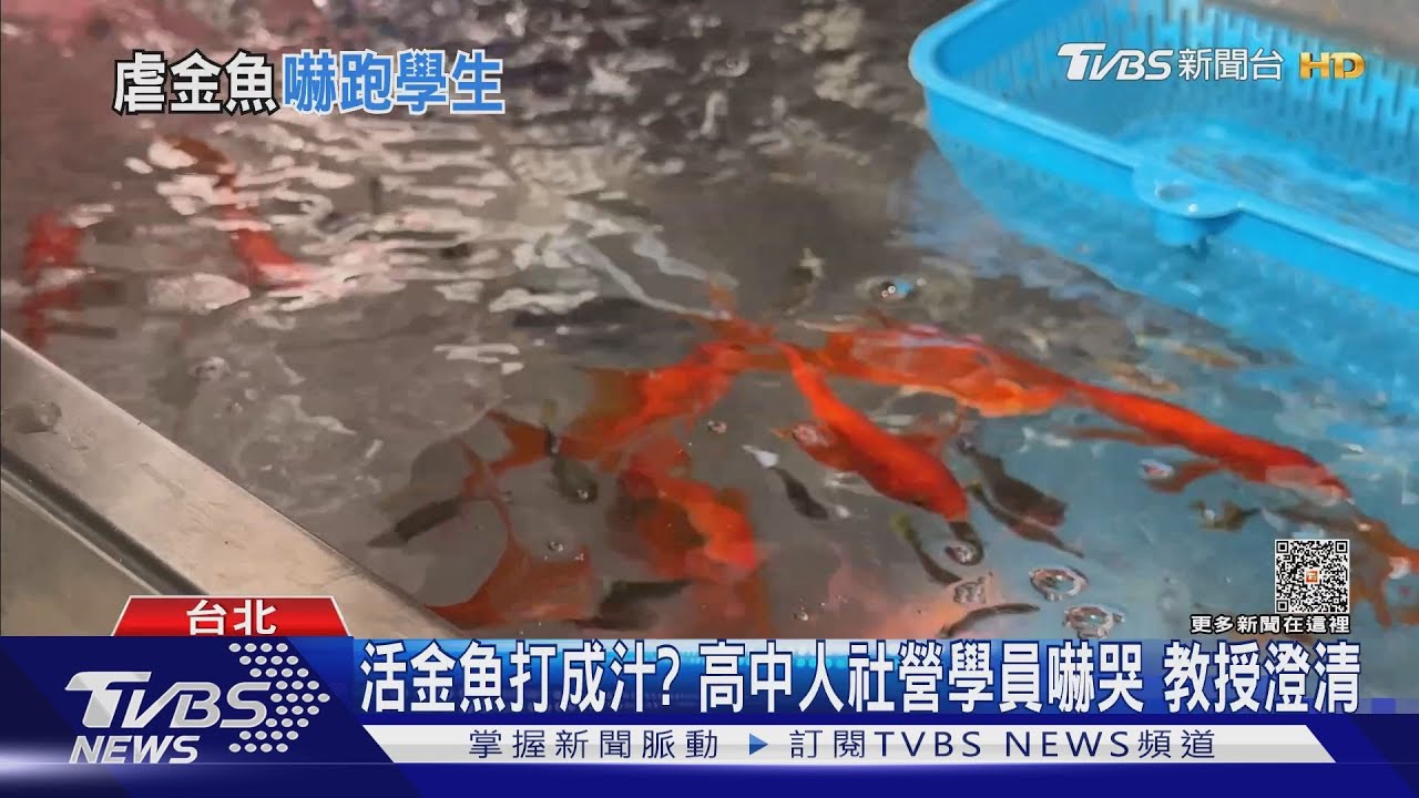 活金魚打成汁?高中人社營學員嚇哭 教授澄清