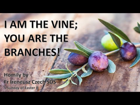, title : 'Homily for the 5th Sunday of Easter. I am the vine, you are the branches!'