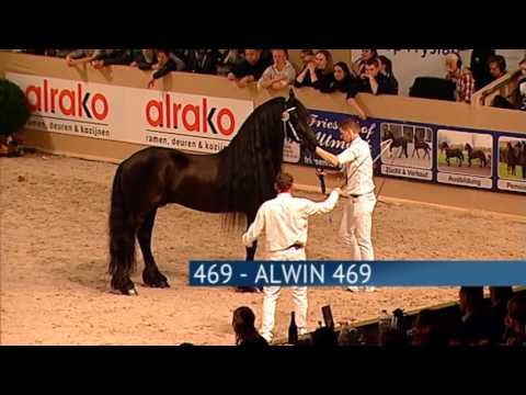 Hengstenkeuring 2017 – Kampioenschap Oudere Hengsten