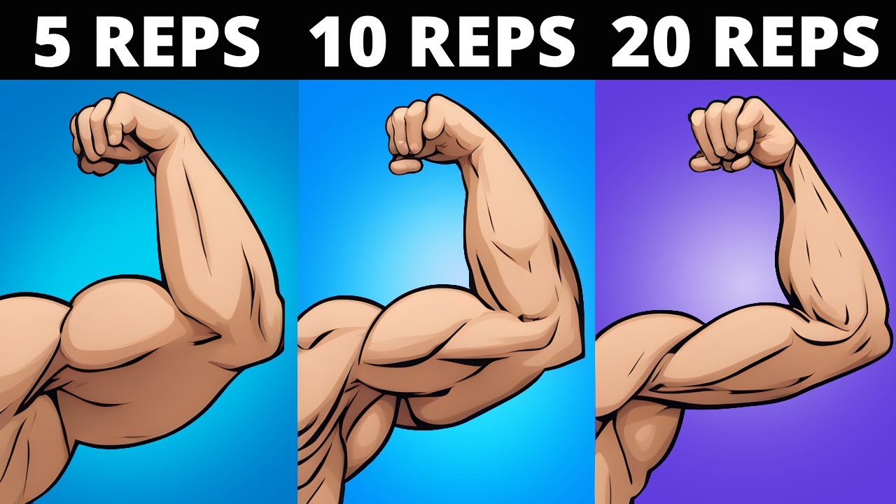 The best NUMBER of REPETITIONS to GAIN MUSCLES FASTER!
