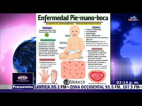 AGENDA Y OPINIÓN 30 DE ENERO DEL 2026