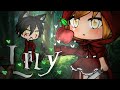 Lily GLMV