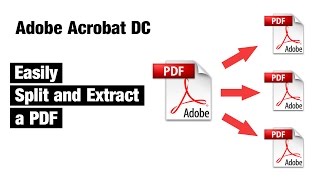 How to Split and Extract PDF Pages with Acrobat Pro DC