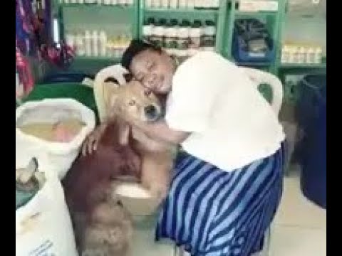 Mayria Arias tiene 49 perros y unos 18 gatos