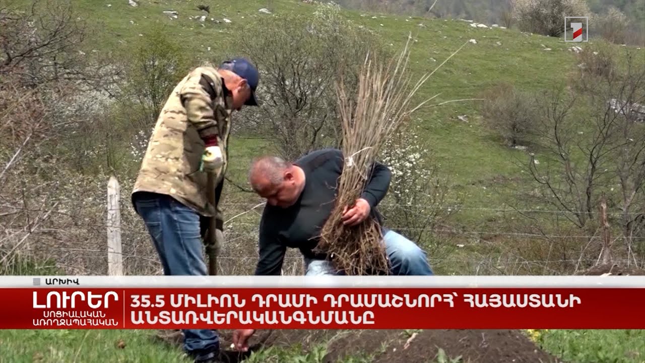 35․5 միլիոն դրամի դրամաշնորհ՝ Հայաստանի անտառվերականգնմանը