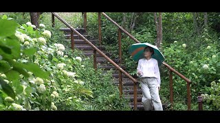 一谷さんと梅雨を歩く