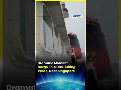 Singapore Ship Collision: Cargo Ship Hits Fishing Vessel