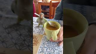Miniature vidéo