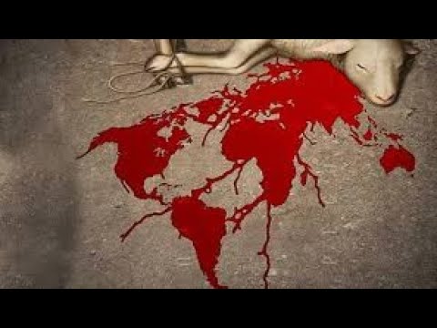 Life is in the Blood: Leviticus 17:10-16