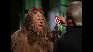 The Wizard of Oz - Medal of Courage