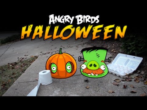 Real Life Angry Birds Seasons