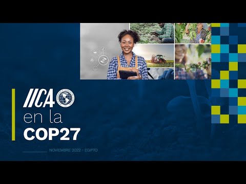 2022-11-17 04.28.54 COP27