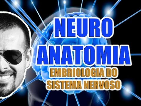 Embryology of the Central and Peripheral Nervous System - Neuroanatomy - Video Lesson 069