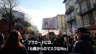 【目覚めよ】2020年11月14日ニースでのデモ