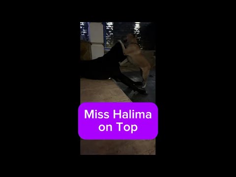 Miss Halima on Top