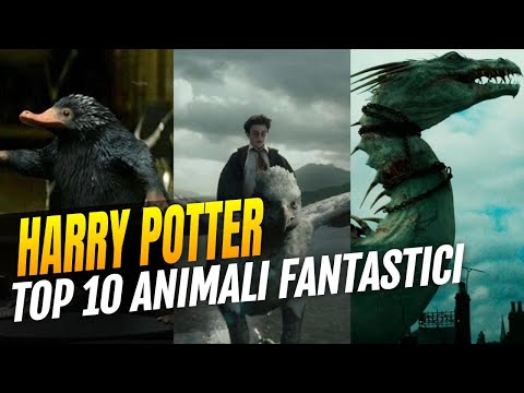 Harry Potter: Top 10 Fantastic Beasts from J.K. Rowling's Wizarding World
