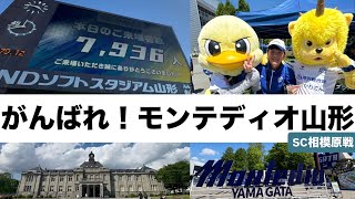 【Jリーグ】モンテディオ山形vs SC相模原の試合を観てきたんやけどモンテディオ山形が悩んでる！助けてあげたいくらい悩んではる【サッカーvlog】