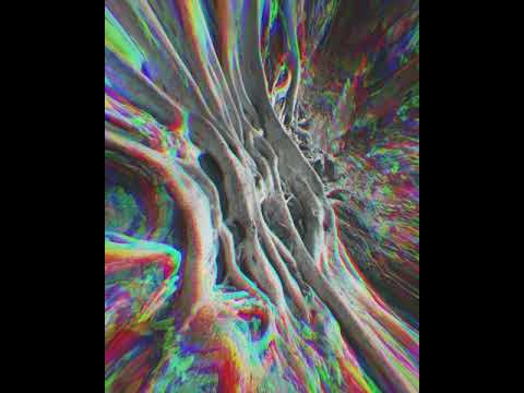 Neugeborene Nachtmusik - 'God is a Crocodile'