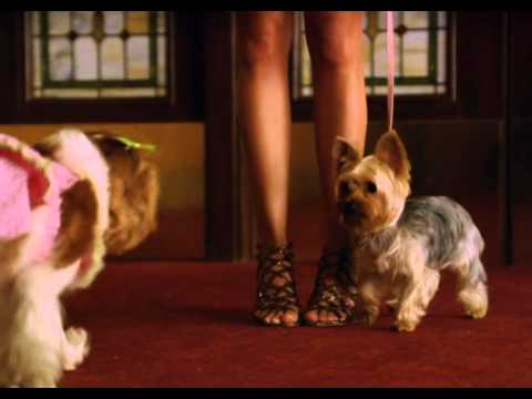 Baby - Sharpay's Fabulous Adventure - Disney Channel Asia