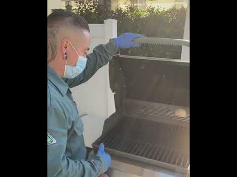 Residential Rodent Prevention Tips for Outdoor Grills