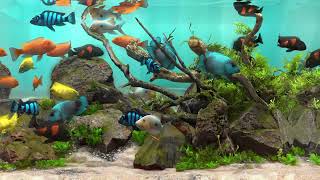 Behind Glass: Aquarium Simulator Steam Key (PC) GLOBAL