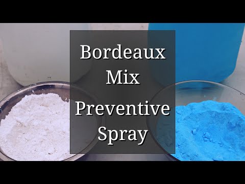 , title : 'Bordeaux Mixture Preparation: Preventive Spray for black spot & other plant diseases'
