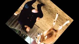 The Beach Boys: Good Vibrations Stereo Version