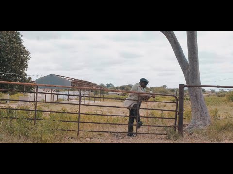PHB Finest - Dilo Tsaka (Official Music Video)