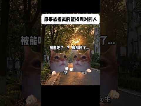 你青梅竹马被熊吃了 #猫meme #内容过于真实 #funny