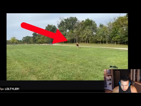 Tyler pulls hamstring while running it down mid irl