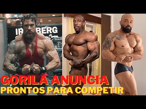 SHAPE ATUAL DO BALESTRIN, ALEX DOS ANJOS