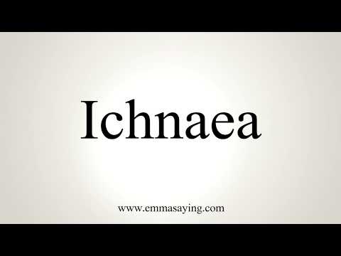 How To Pronounce Ichnaea