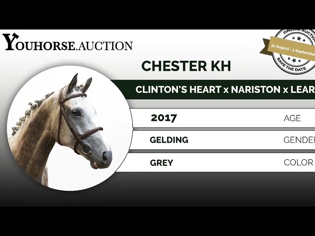 Chester trainingsvideo