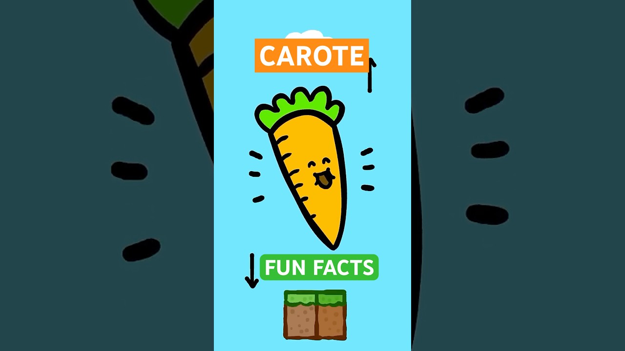 Lo sapevate che le carote contengono vitamine arancioni?