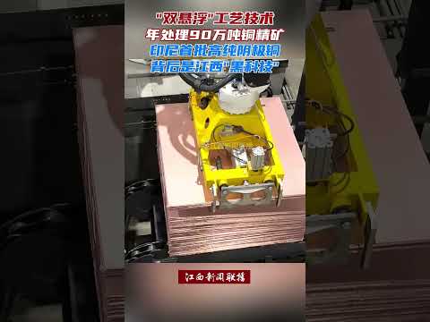 由中国江西瑞林公司提供的具有世界领先技术建设的印尼阿曼铜冶炼项目近日产出首批99.99%高纯阴极铜，这是印尼历史上首批自主生产的合格冶炼产品。